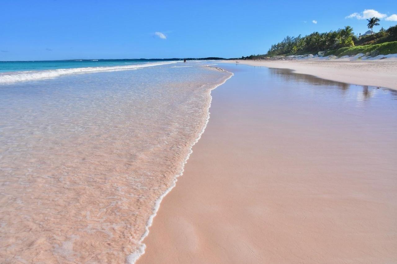 Conch Shell Harbour Island Home Dunmore Town 部屋 写真